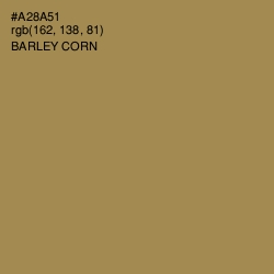 #A28A51 - Barley Corn Color Image